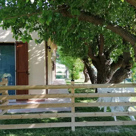 Il Piccolo Uliveto Del Conero Farm stay