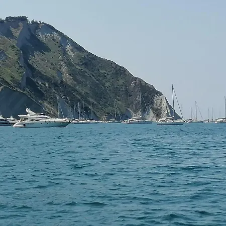 팜스테이 Il Piccolo Uliveto Del Conero *