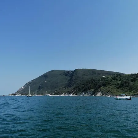 Il Piccolo Uliveto Del Conero Bauernhof *